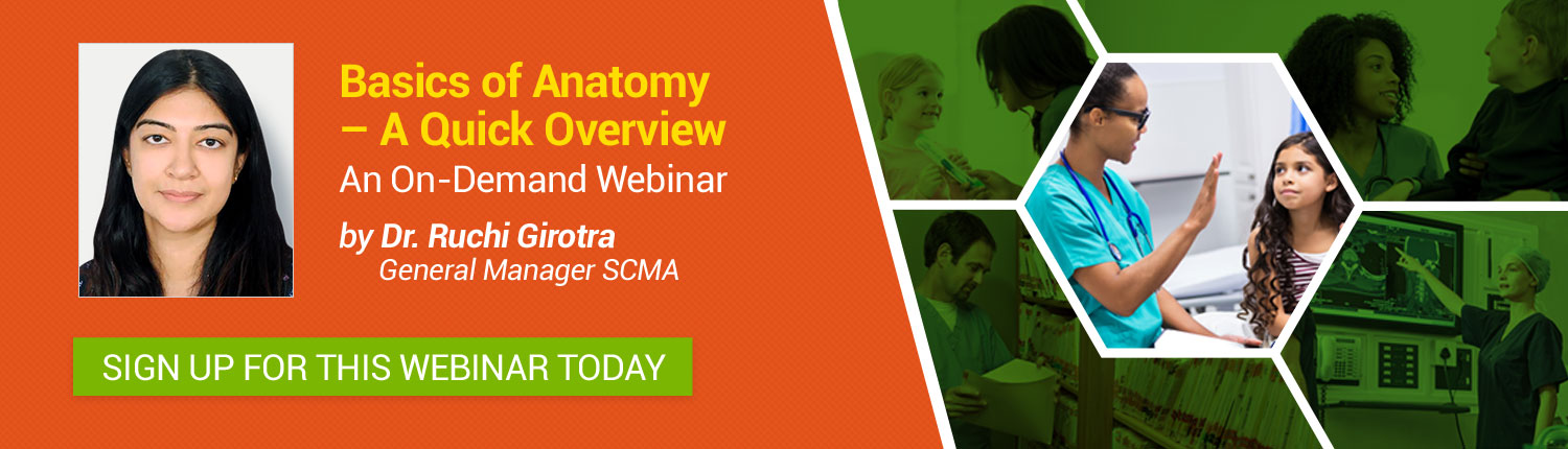 Reliable SCMA-IM Practice Questions
